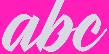 Stylenoir Script Font Poster 12