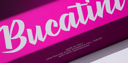 Stylenoir Script Font Poster 11