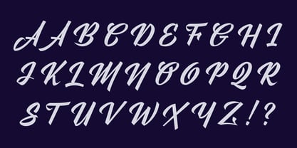 Stylenoir Script Font Poster 14