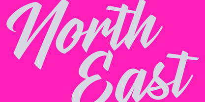 Stylenoir Script Font Poster 1