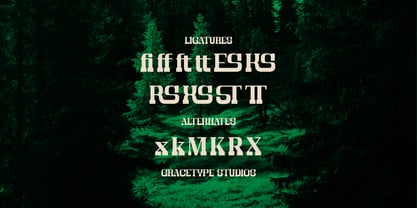 Bravo Amori Font Poster 12