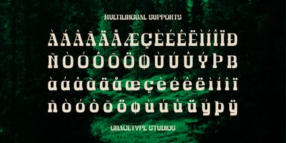 Bravo Amori Font Poster 11