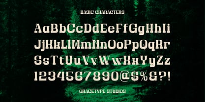 Bravo Amori Font Poster 10