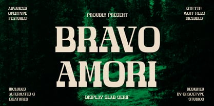 Bravo Amori Font Poster 1