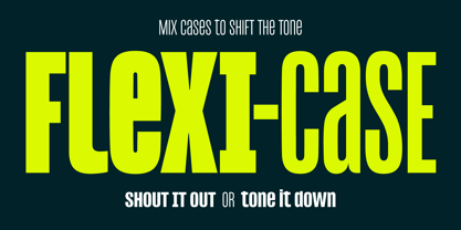 Reel Font Poster 3