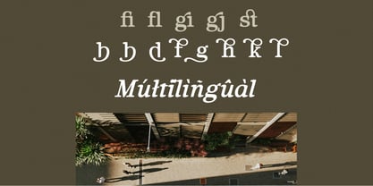 Gulder Radeon Font Poster 8