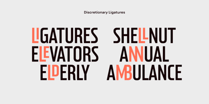 Postamp Grotesk Font Poster 4