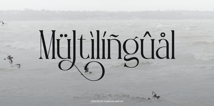 Verlane Font Poster 10