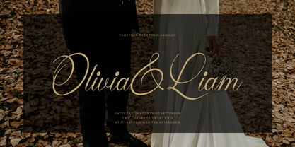 Valeysoul Font Poster 2