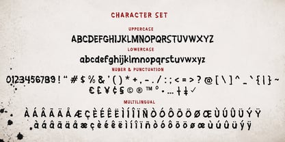 Washi Brush Font Poster 5