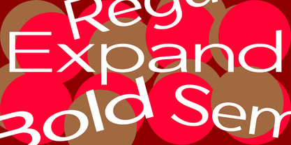 Avenyx Expand Font Poster 9