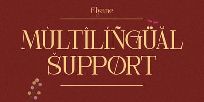 Elyane Font Poster 6