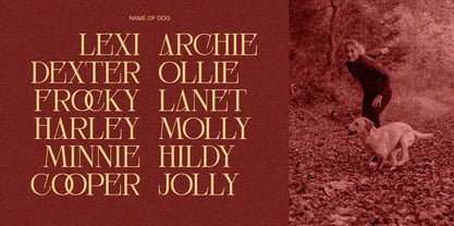 Elyane Font Poster 5