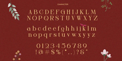 Elyane Font Poster 7