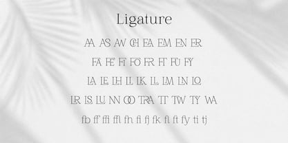 Freya Grace Font Poster 13