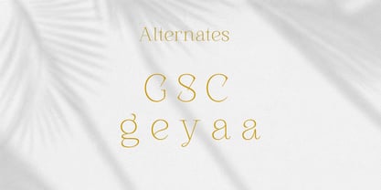 Freya Grace Font Poster 15