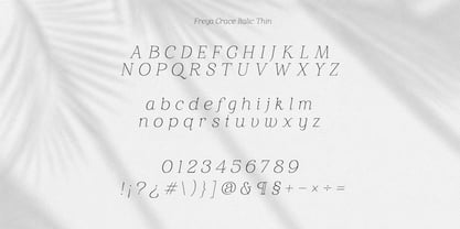 Freya Grace Font Poster 9