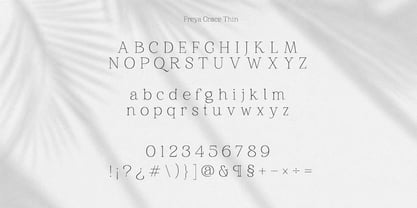 Freya Grace Font Poster 12