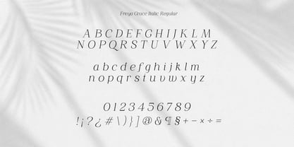 Freya Grace Font Poster 10