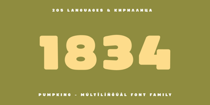 Pumpking Font Poster 12