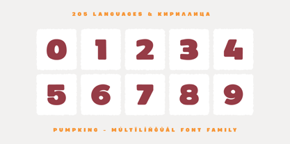 Pumpking Font Poster 13