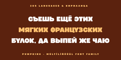 Pumpking Font Poster 10