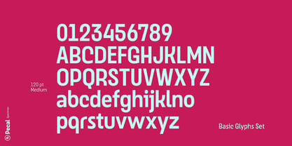 Pecal Font Poster 4