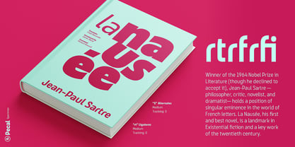 Pecal Font Poster 12