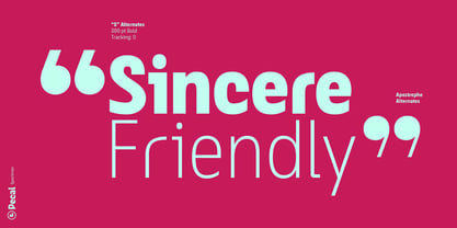Pecal Font Poster 9