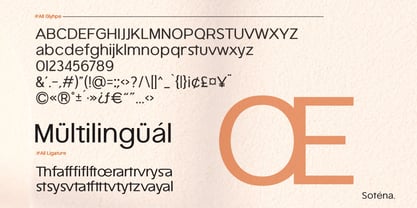 Sotena Font Poster 5