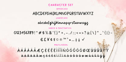 Peakme Script Font Poster 5