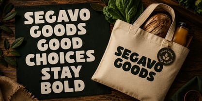 Segavo Font Poster 8