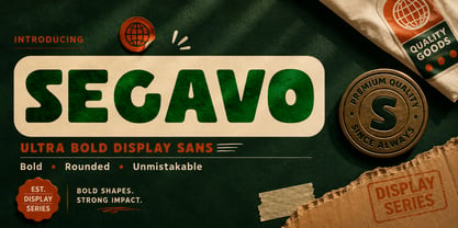 Segavo Font Poster 1