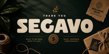 Segavo Font Poster 12