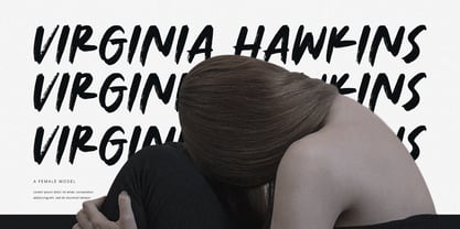 North Plains Font Poster 4