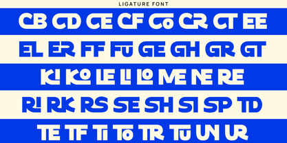 Sokochi Font Poster 9