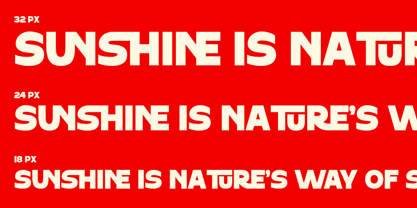 Sokochi Font Poster 6