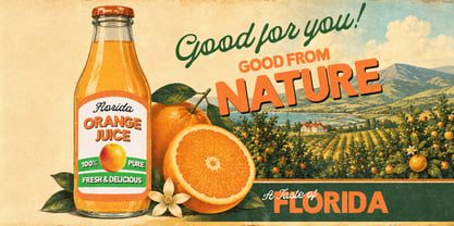 Polished Sans Vintage Font Poster 7