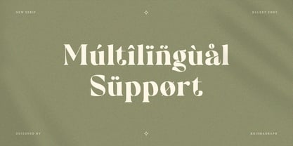 Balery Font Poster 9