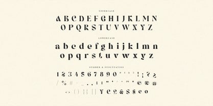 Balery Font Poster 10