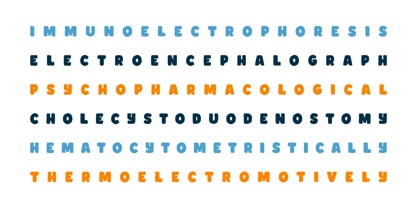 Melonie Font Poster 5
