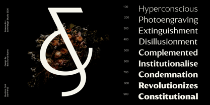 Muchino Font Poster 3