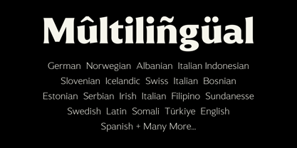Muchino Font Poster 8