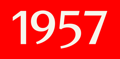 Muchino Font Poster 10