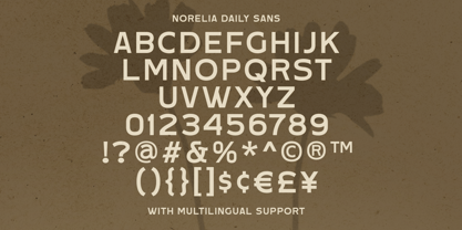 Norelia Daily Font Poster 8