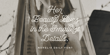 Norelia Daily Font Poster 3