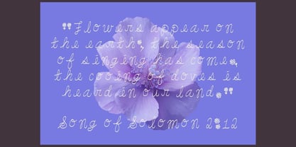DreamyFont Font Poster 8