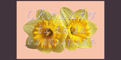 DreamyFont Font Poster 9