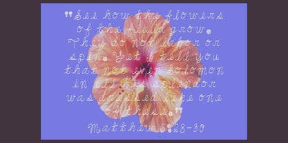 DreamyFont Font Poster 7