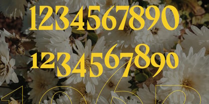 Evgen Font Poster 10